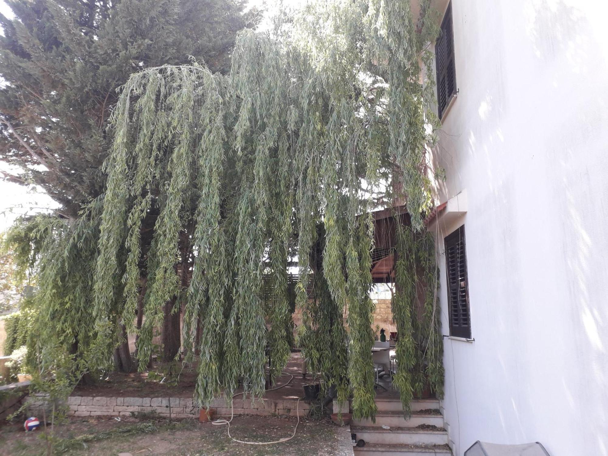 B&B Villa Victoria Рагуза Екстер'єр фото